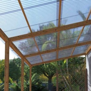 Policarbonato Alveolar 210 X 290 X 10 Mm Transpare - Socodima.cl