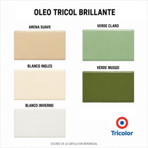 OLEO TRICOL BRILLANTE 1/4 GALON BLANCO INVIERNO