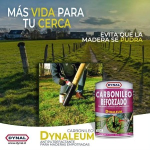 DYNALEUM L CARBONILEUM DE PETROLEO 1 GL C4142