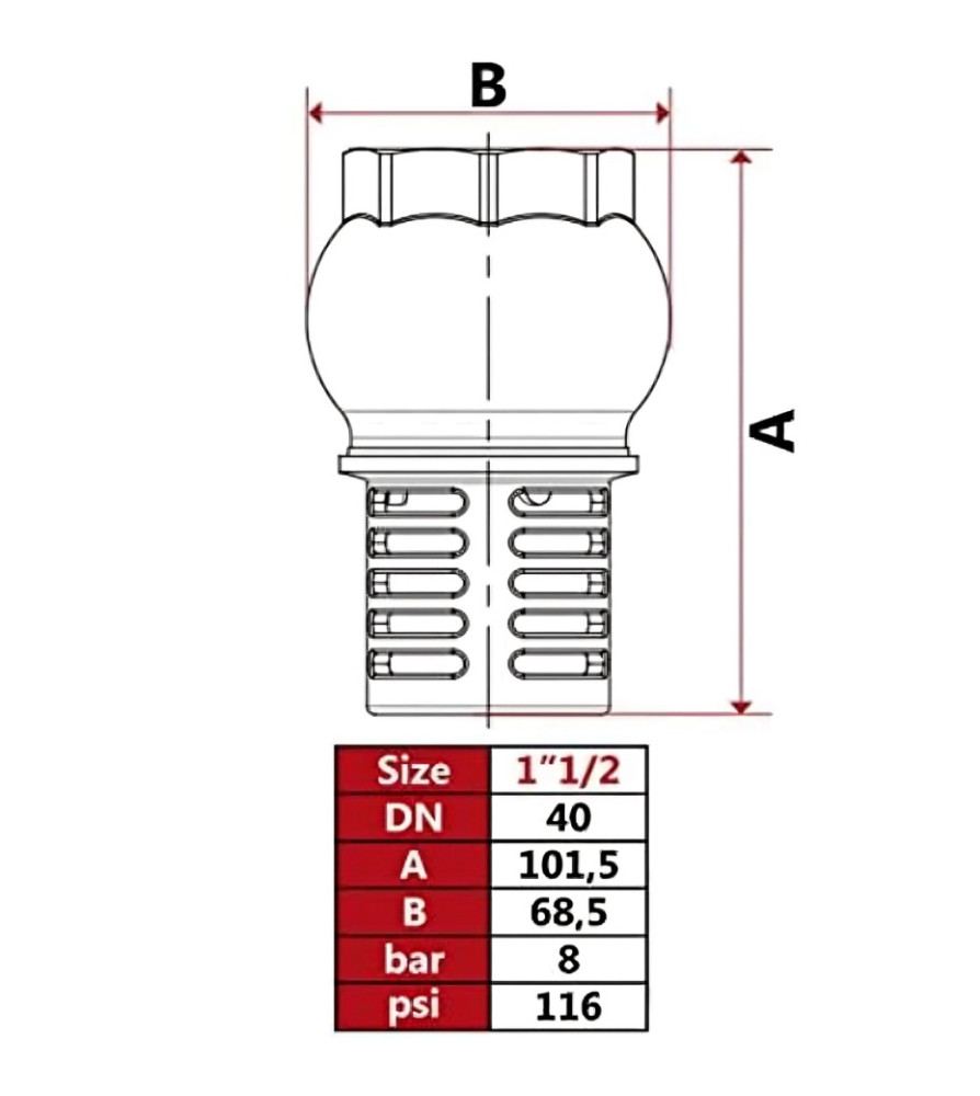 Valvola di Ritenuta per Compressori F/M