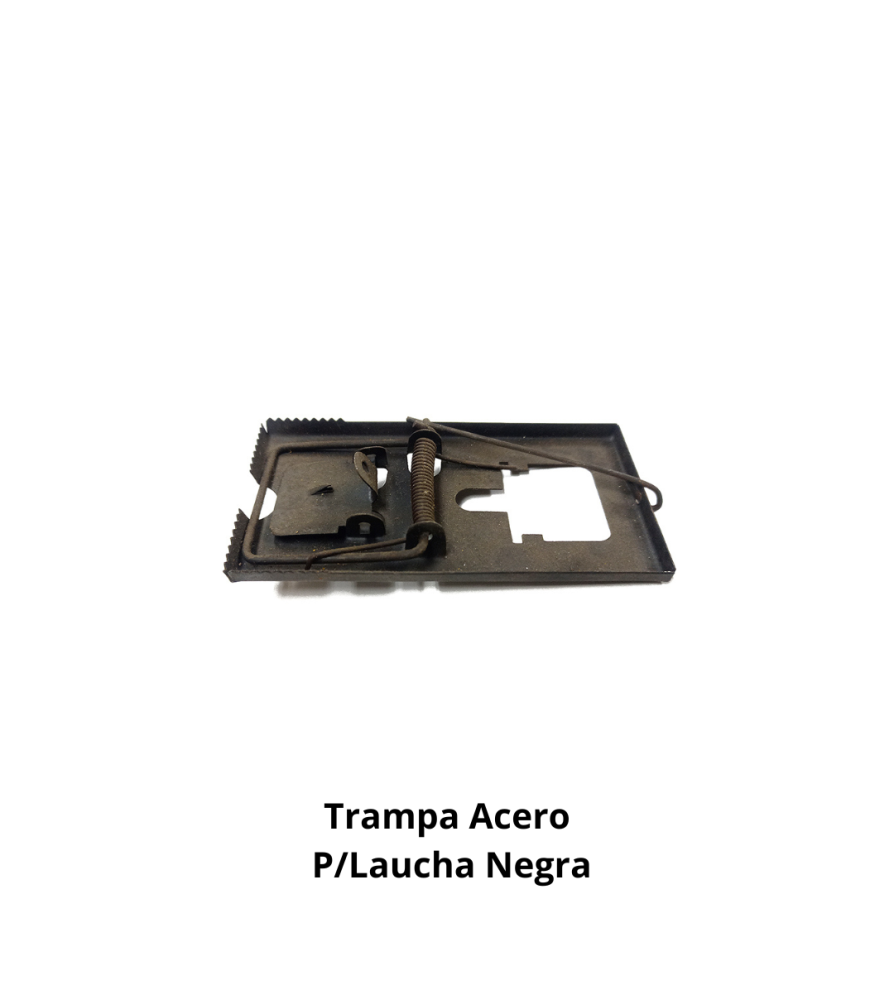 Trampa Acero P/laucha Negra