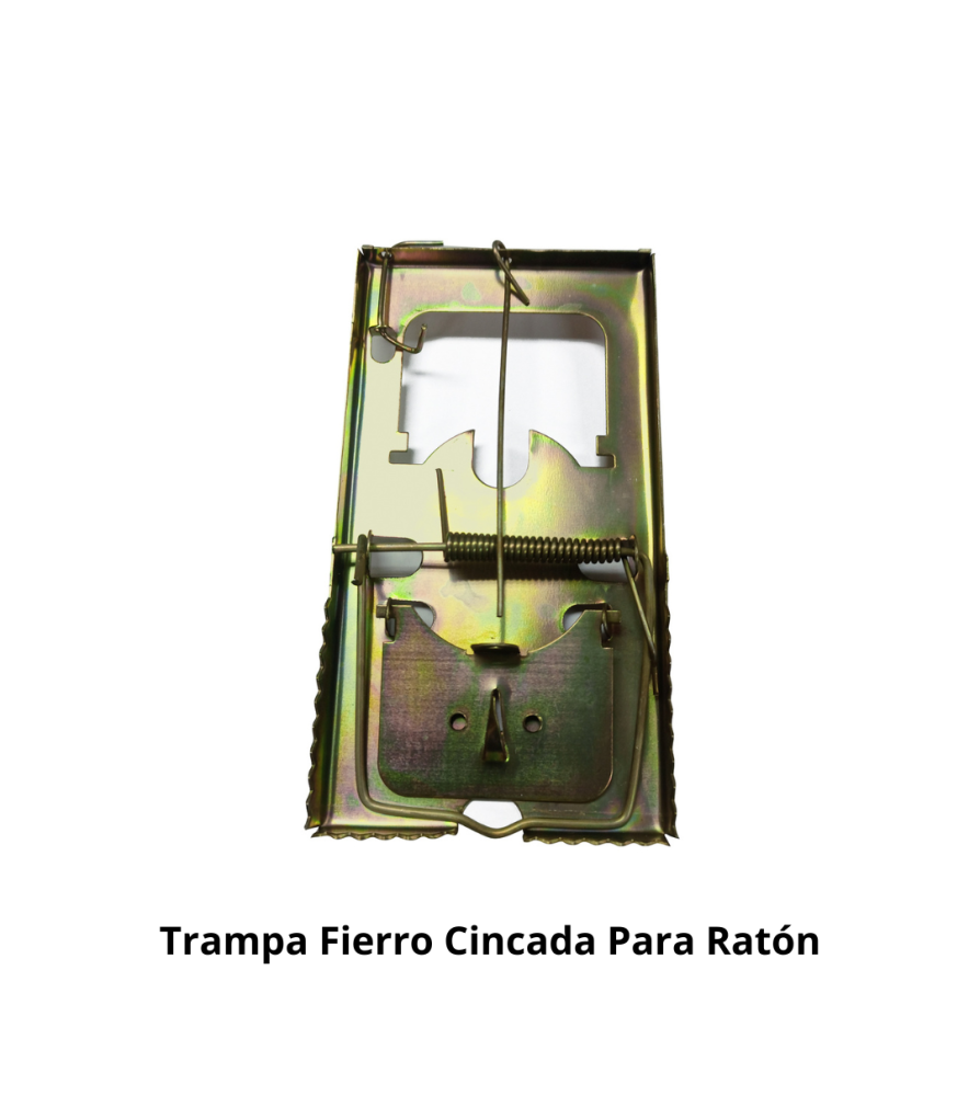 Trampa Fierro Cincada Para Raton (f2611)
