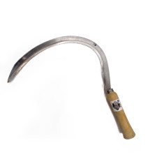 Echona Con Mango 18"