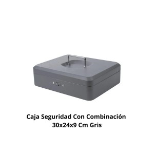 CAJA SEGURIDAD CON COMBINACION 30X24X9 CM GRIS