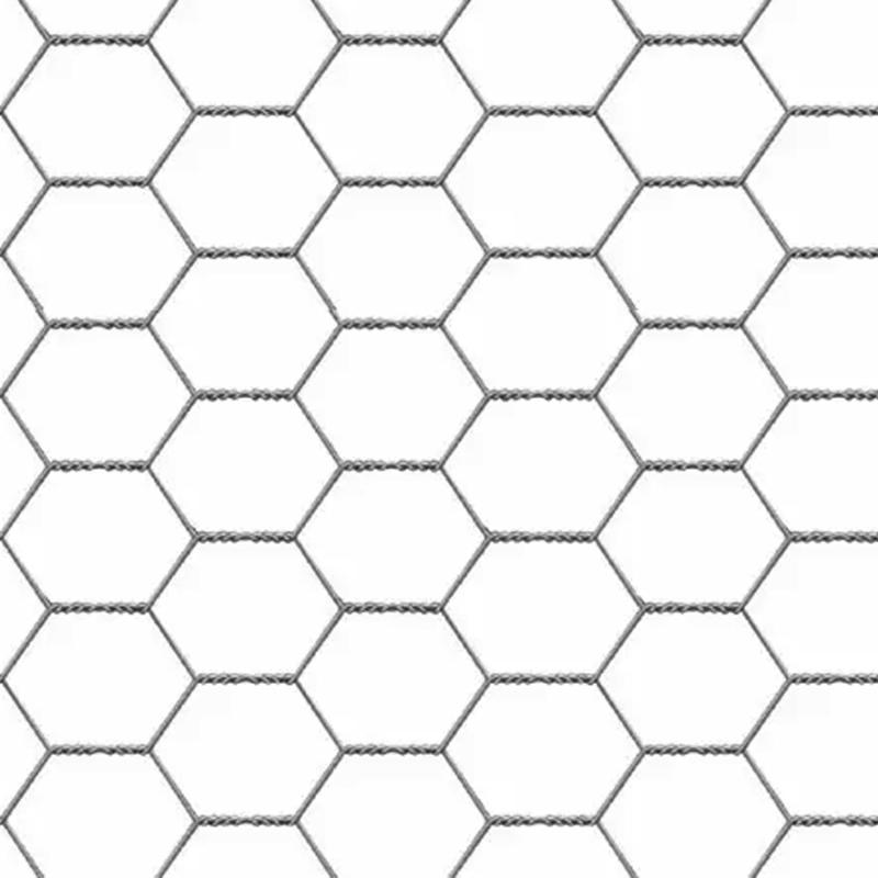 Malla Hexagonal P/gall 1/2x100 Mt