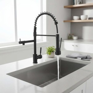 MONOMANDO PLUMBER BANGOR NEGRO LAVAPLAT20BN5603020