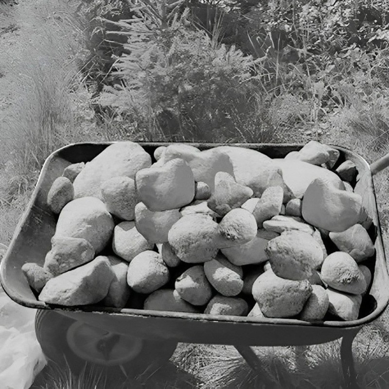 BOLONES CARRETILLA