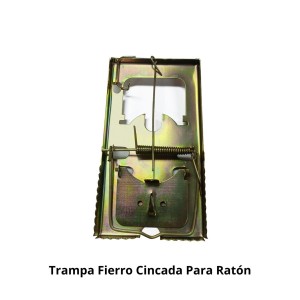 TRAMPA FIERRO CINCADA PARA RATON (F2611)