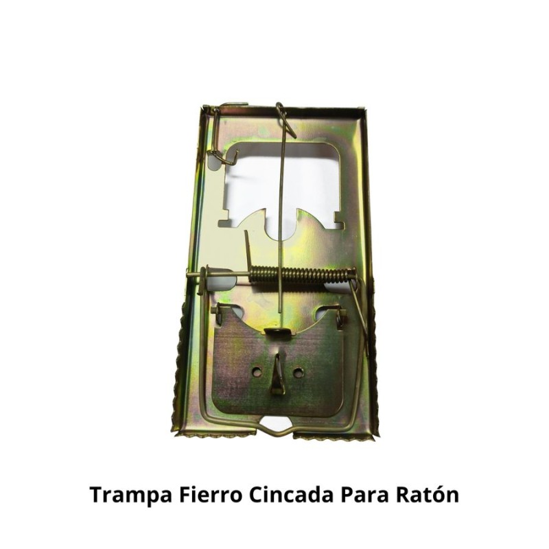 TRAMPA FIERRO CINCADA PARA RATON (F2611)