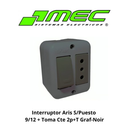 INTERRUPTOR ARIS S/PUESTO 9/12 + TOMA CTE 2P+T GRA
