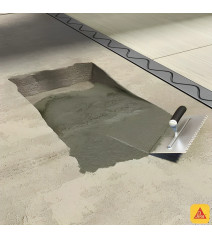 Sika 3 Acelerante Control 4,5 Lts Bidon 1103344